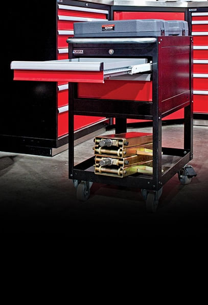 Model NS Carts | FastStore PDP