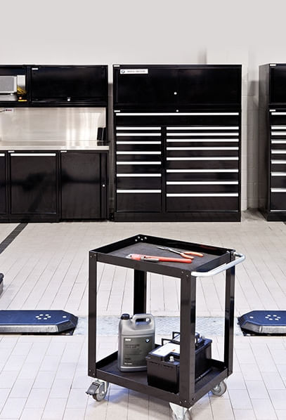 Model NS Carts | FastStore PDP